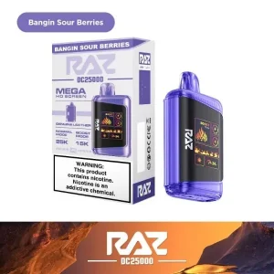 RAZ DC25000 Rechargeable Disposable