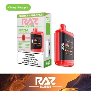 RAZ DC25000 Rechargeable Disposable