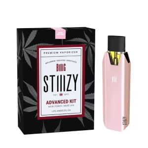 Stiiizy Biiig Battery Kit