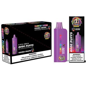 DUMMY VAPES 8000 DISPOSABLE VAPE