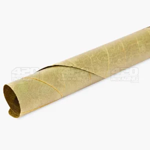 King Palm Mango OG Natural Mini Leaf Blunt Wraps 20/Box