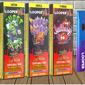 Looper XL Blended Disposable 3g