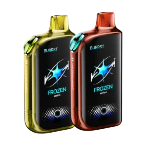 Wholesale Fasta Vape Burrst 35000 Dual Tank